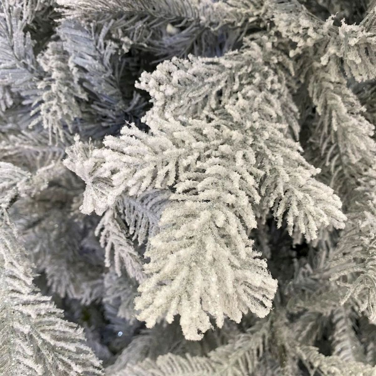 7FT Frosted Grandis Fir Kaemingk Everlands Christmas Tree | AT42
